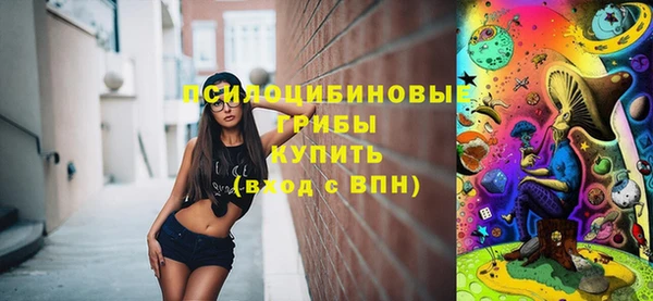 гашик Козловка
